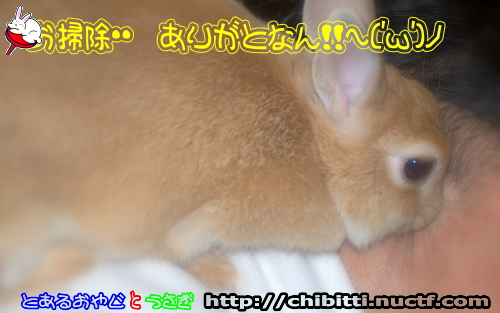 画像クリックで拡大します