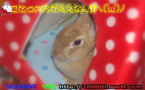 画像クリックで拡大します