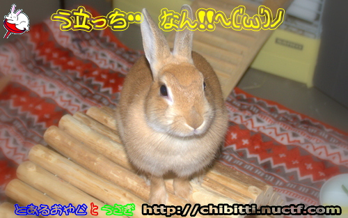 画像クリックで拡大します