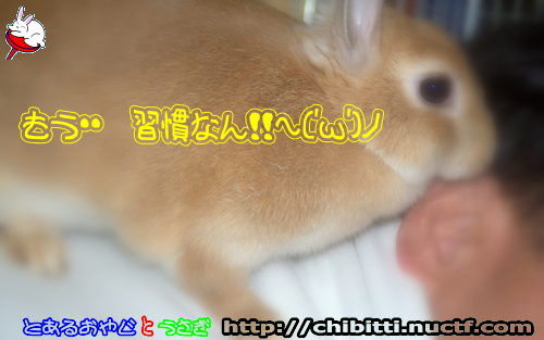 画像クリックで拡大します