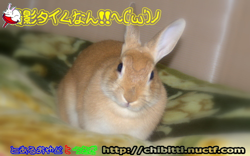 画像クリックで拡大します