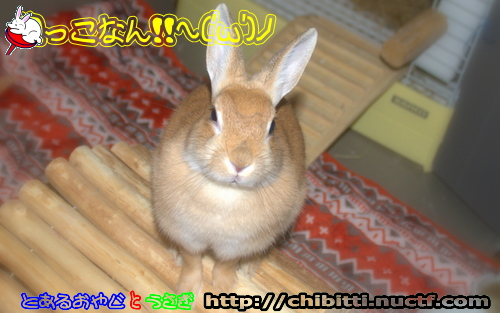 画像クリックで拡大します