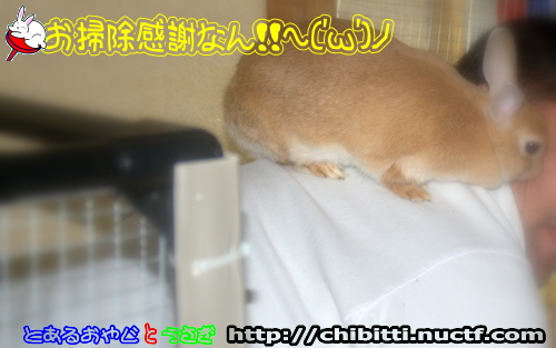 画像クリックで拡大します