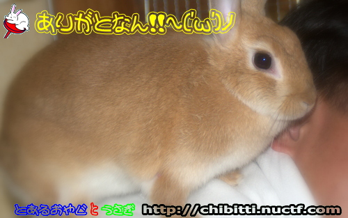 画像クリックで拡大します