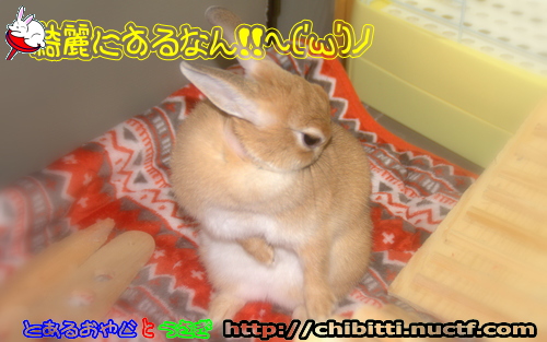 画像クリックで拡大します