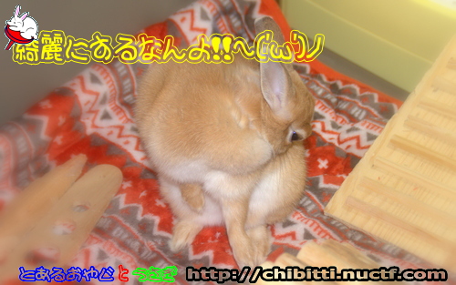 画像クリックで拡大します