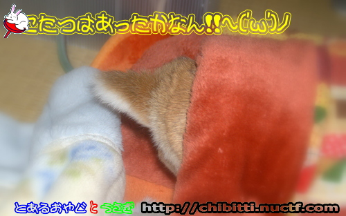 画像クリックで拡大します