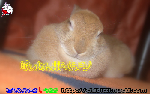 画像クリックで拡大します