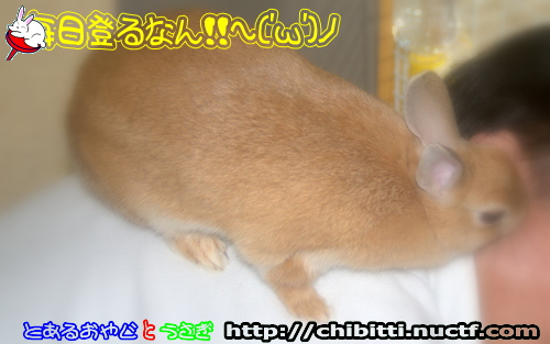 画像クリックで拡大します
