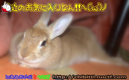 画像クリックで拡大します