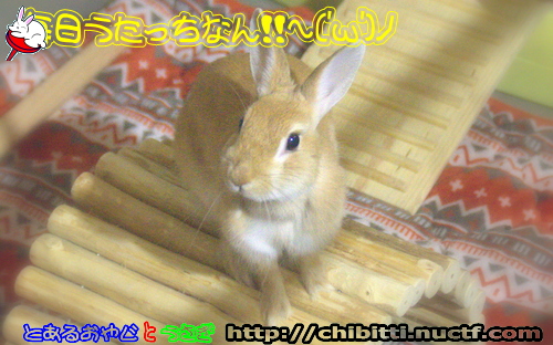 画像クリックで拡大します