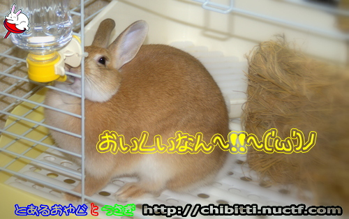 画像クリックで拡大します