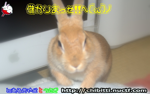 画像クリックで拡大します