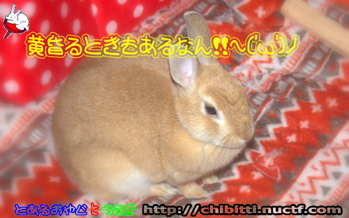 画像クリックで拡大します