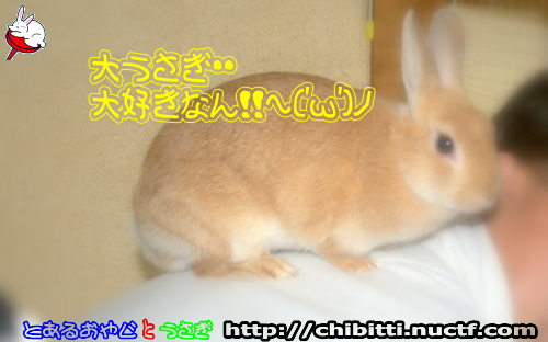 画像クリックで拡大します