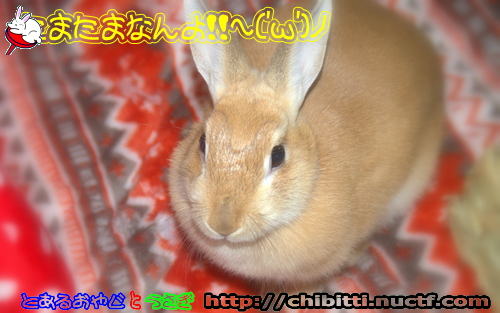 画像クリックで拡大します