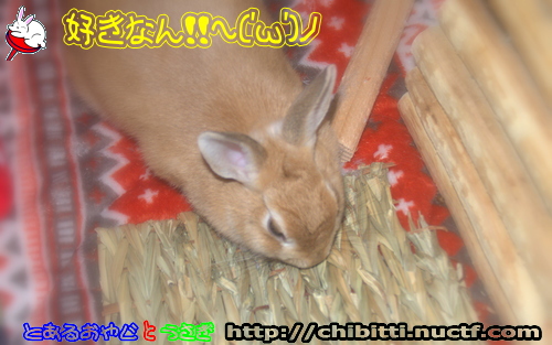 画像クリックで拡大します