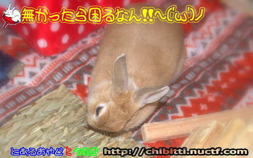 画像クリックで拡大します