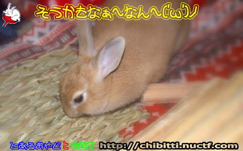 画像クリックで拡大します