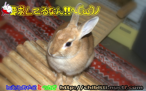 画像クリックで拡大します