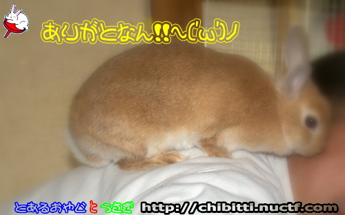画像クリックで拡大します