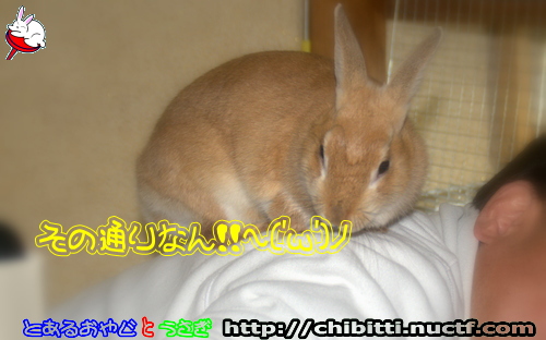 画像クリックで拡大します