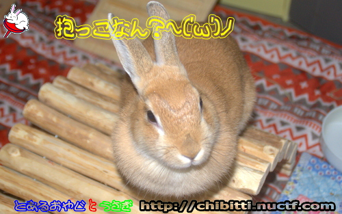 画像クリックで拡大します