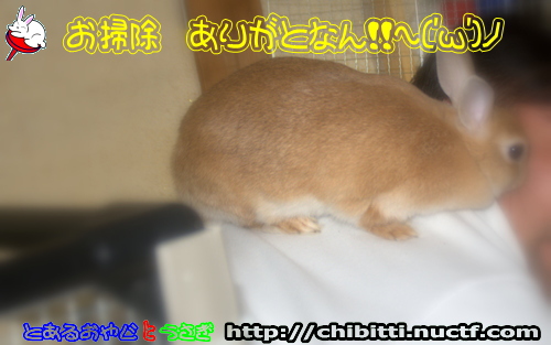 画像クリックで拡大します