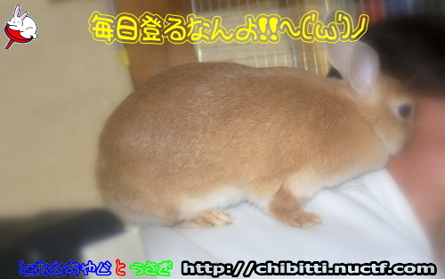 画像クリックで拡大します
