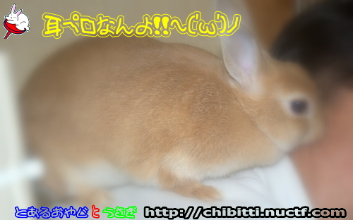 画像クリックで拡大します