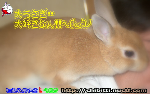 画像クリックで拡大します