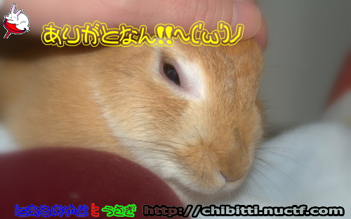 画像クリックで拡大します