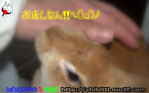 画像クリックで拡大します
