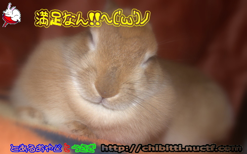 画像クリックで拡大します