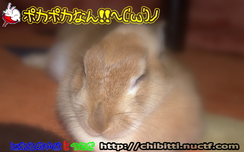 画像クリックで拡大します