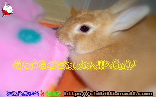 画像クリックで拡大します