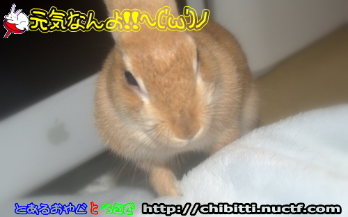 画像クリックで拡大します