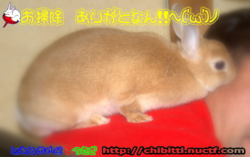 画像クリックで拡大します
