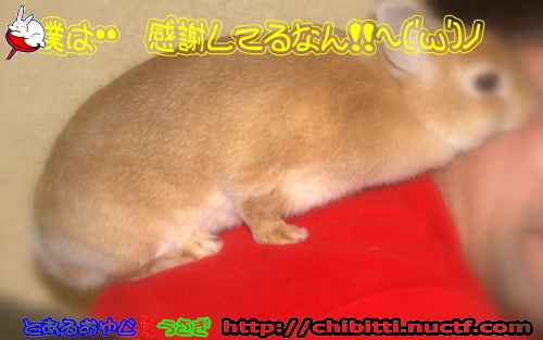画像クリックで拡大します