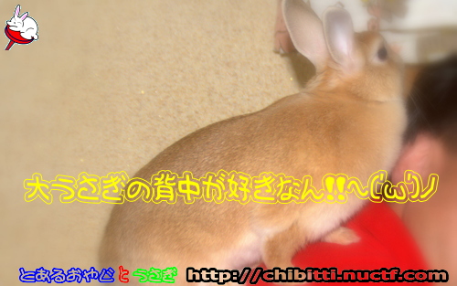 画像クリックで拡大します