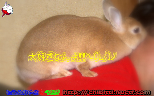 画像クリックで拡大します