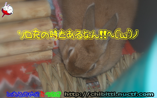 画像クリックで拡大します