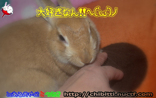 画像クリックで拡大します