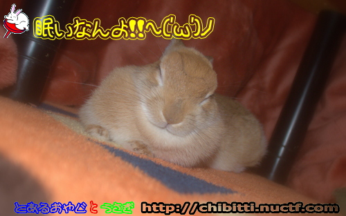 画像クリックで拡大します