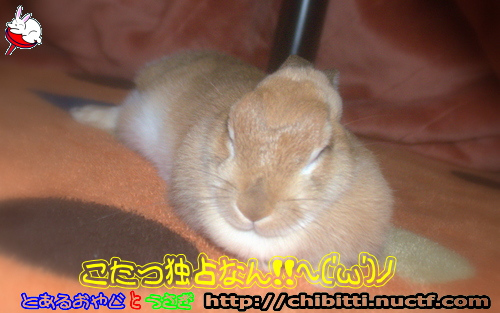 画像クリックで拡大します