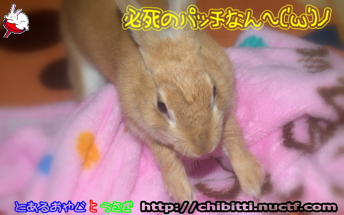 画像クリックで拡大します