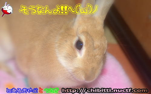 画像クリックで拡大します