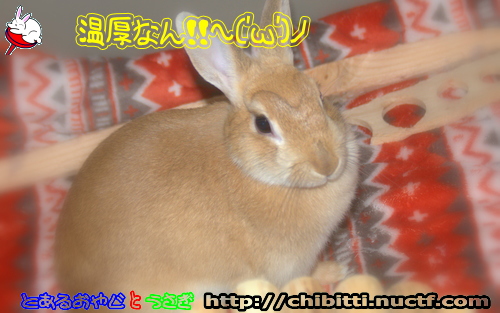 画像クリックで拡大します