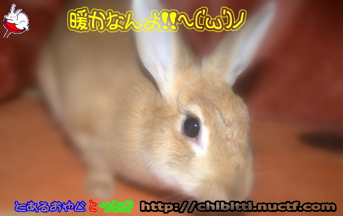 画像クリックで拡大します