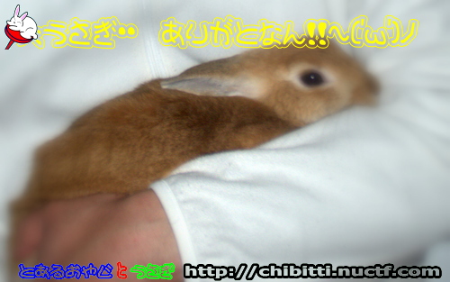 画像クリックで拡大します